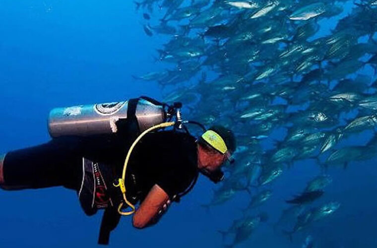 diving-tab diving-tab